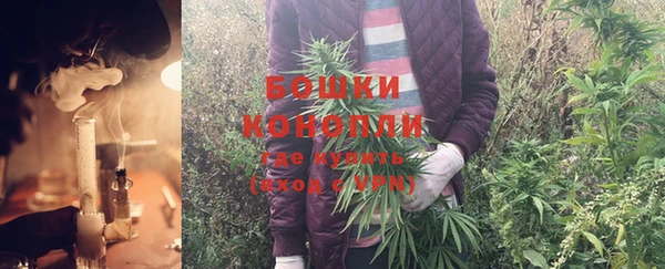 эйфоретик Михайловск