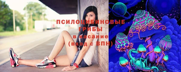 эйфоретик Михайловск