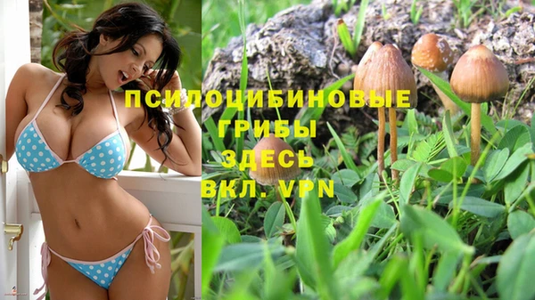 Альфа ПВП Михайловка