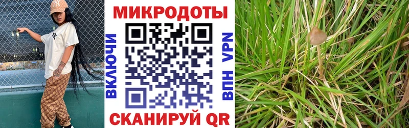 KRAKEN маркетплейс  Новоржев  Галлюциногенные грибы мухоморы  сколько стоит 